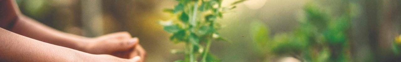 coprel_coprelecologia (1)